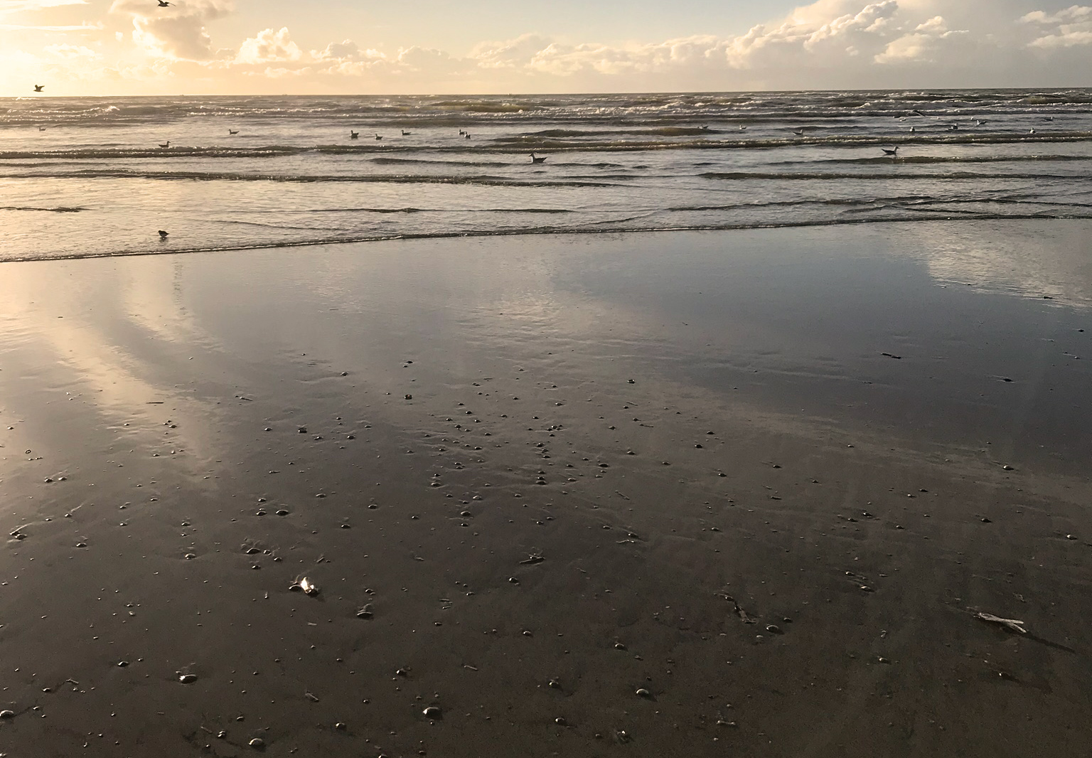 Våd sandstrand og hav i aftenlys
